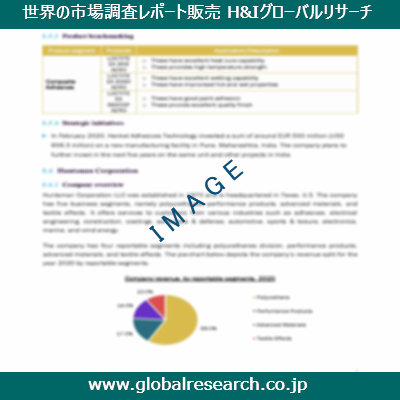 市場調査レポートのイメージ