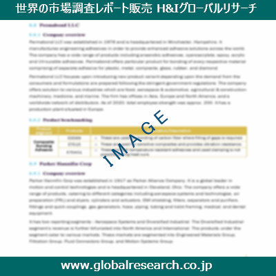 市場調査レポートのイメージ