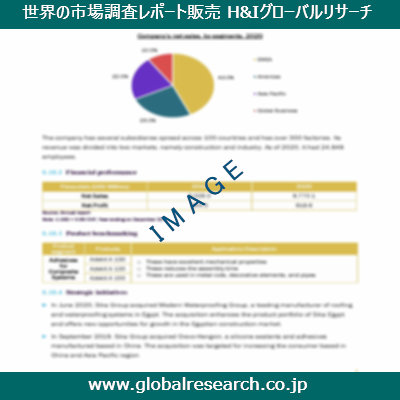 市場調査レポートのイメージ