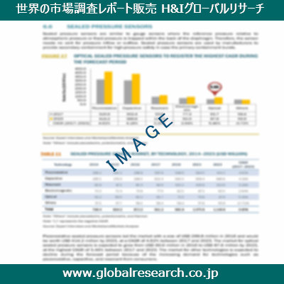 市場調査レポートのイメージ