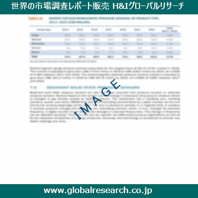 市場調査レポートのイメージ