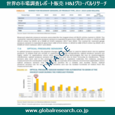 市場調査レポートのイメージ