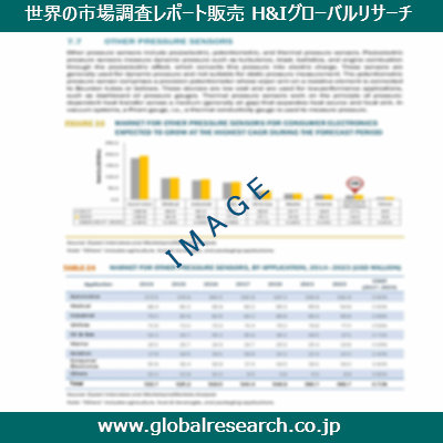 市場調査レポートのイメージ