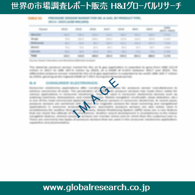 市場調査レポートのイメージ