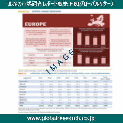 市場調査レポートのイメージ
