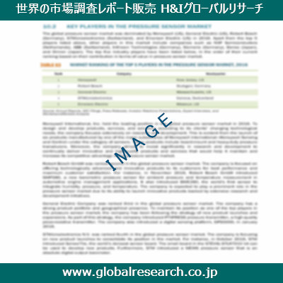 市場調査レポートのイメージ