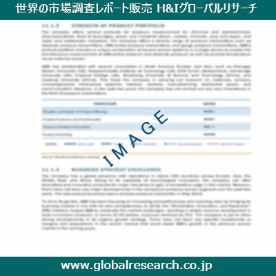 市場調査レポートのイメージ