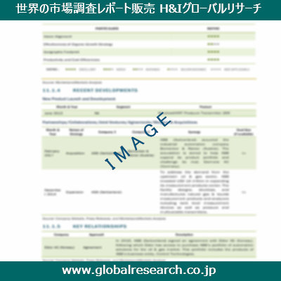 市場調査レポートのイメージ
