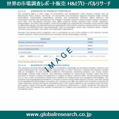 市場調査レポートのイメージ