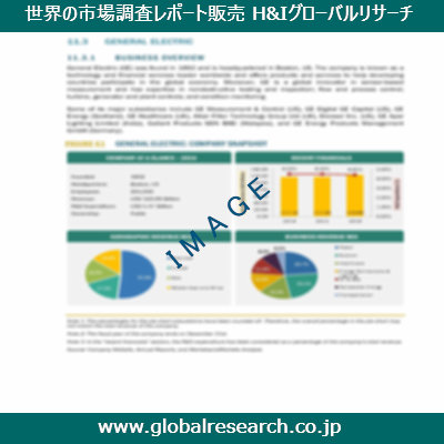 市場調査レポートのイメージ