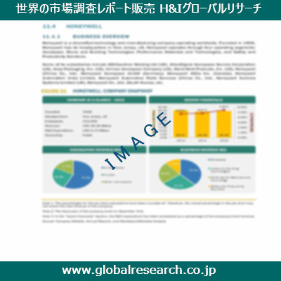 市場調査レポートのイメージ