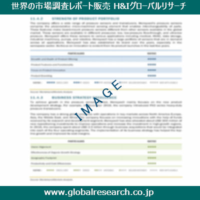 市場調査レポートのイメージ