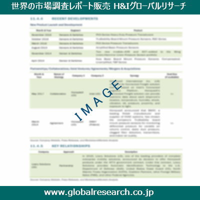 市場調査レポートのイメージ