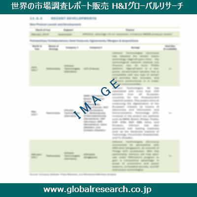市場調査レポートのイメージ