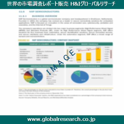 市場調査レポートのイメージ