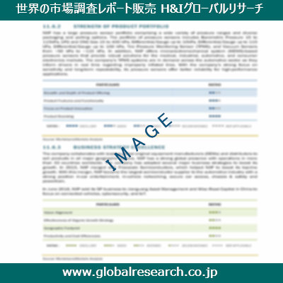 市場調査レポートのイメージ