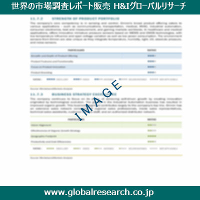 市場調査レポートのイメージ