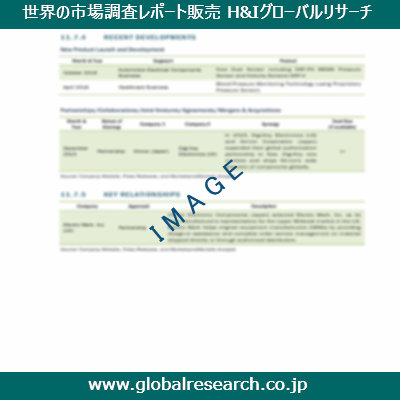 市場調査レポートのイメージ