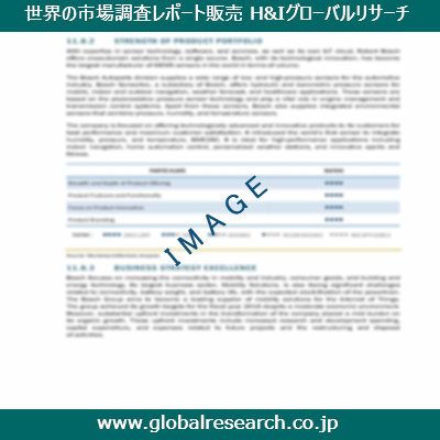 市場調査レポートのイメージ