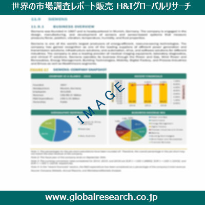 市場調査レポートのイメージ
