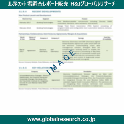 市場調査レポートのイメージ