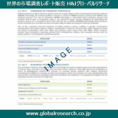 市場調査レポートのイメージ