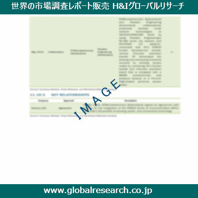 市場調査レポートのイメージ