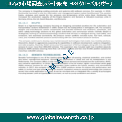 市場調査レポートのイメージ