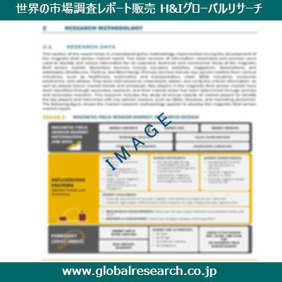 市場調査レポートのイメージ