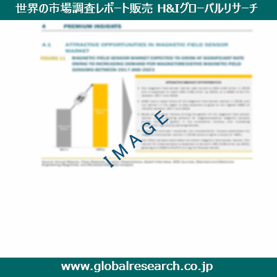 市場調査レポートのイメージ