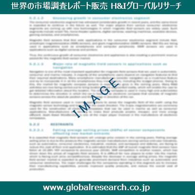 市場調査レポートのイメージ