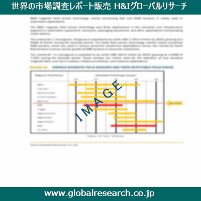 市場調査レポートのイメージ