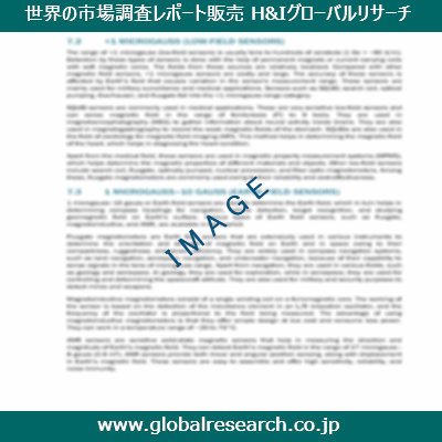 市場調査レポートのイメージ
