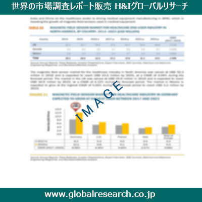 市場調査レポートのイメージ