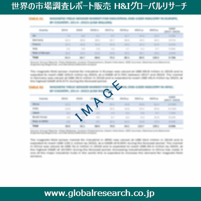 市場調査レポートのイメージ