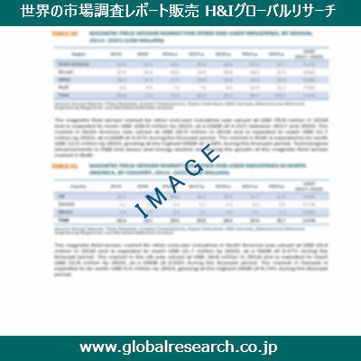市場調査レポートのイメージ