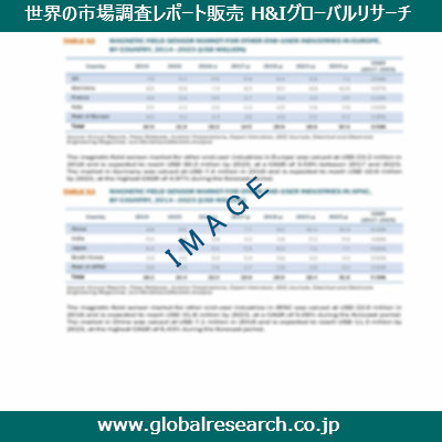 市場調査レポートのイメージ