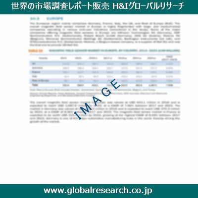 市場調査レポートのイメージ