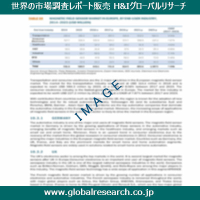 市場調査レポートのイメージ