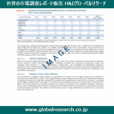 市場調査レポートのイメージ
