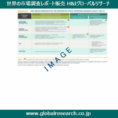 市場調査レポートのイメージ