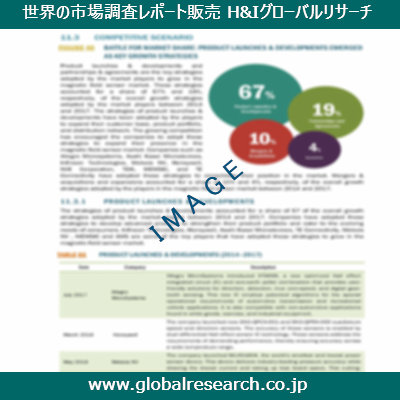 市場調査レポートのイメージ