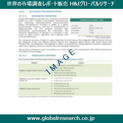 市場調査レポートのイメージ