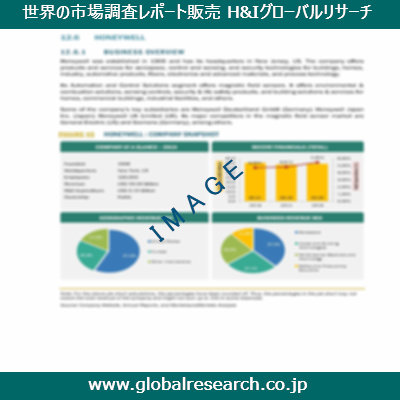 市場調査レポートのイメージ