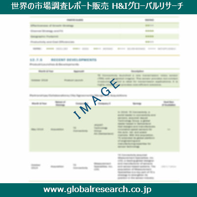 市場調査レポートのイメージ