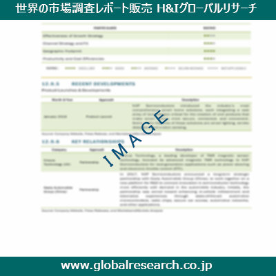 市場調査レポートのイメージ