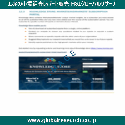 市場調査レポートのイメージ