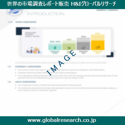 市場調査レポートのイメージ