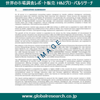 市場調査レポートのイメージ