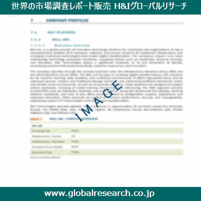 市場調査レポートのイメージ